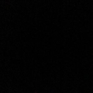 Meet your Posher, Brody